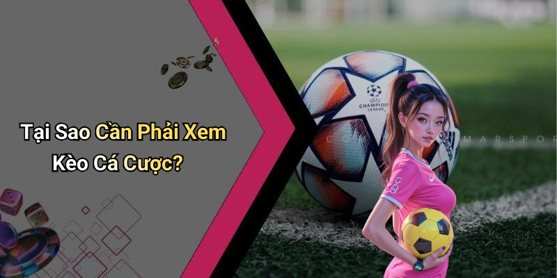 Tại Sao Cần Phải Xem Kèo Cá Cược?