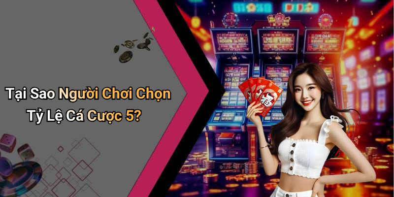 Tại Sao Người Chơi Chọn Tỷ Lệ Cá Cược 5?